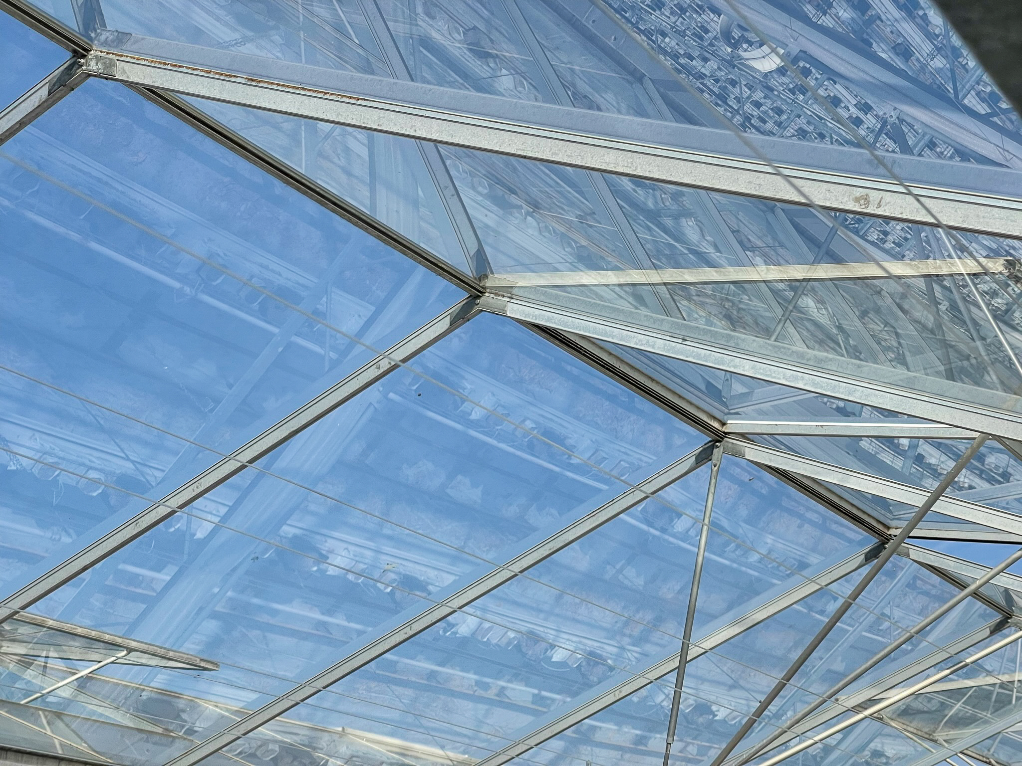 Venlo greenhouse 8,00 m 18.980 m²