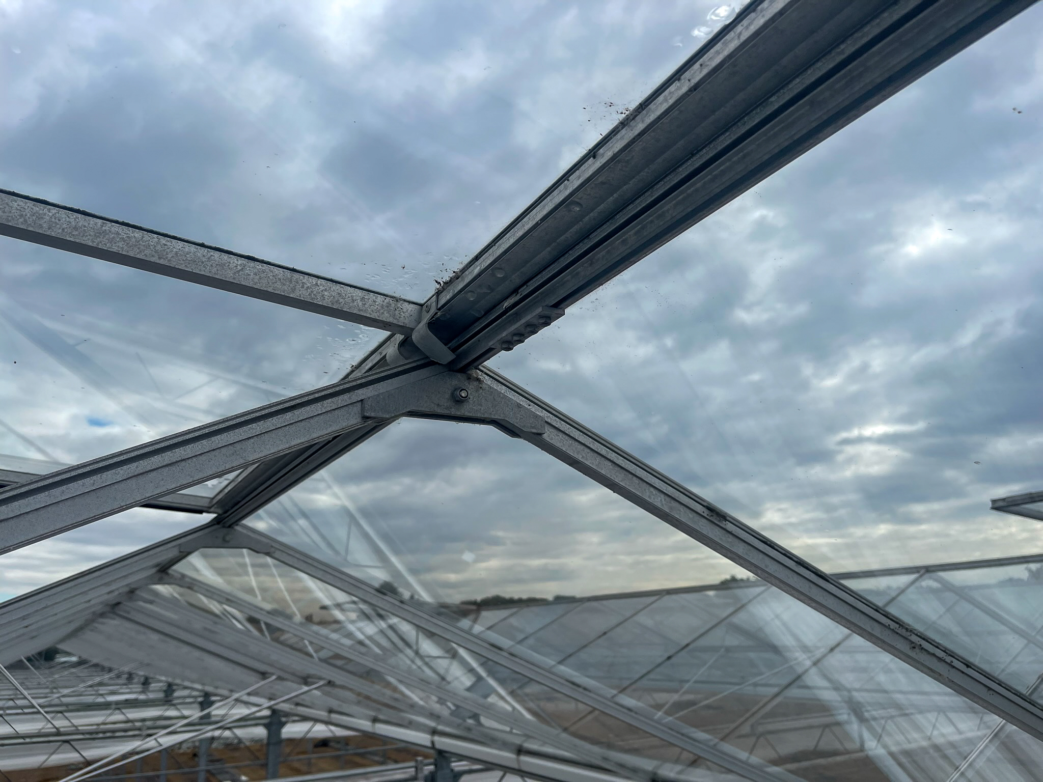 Venlo greenhouse 8,00 m 9.918 m²