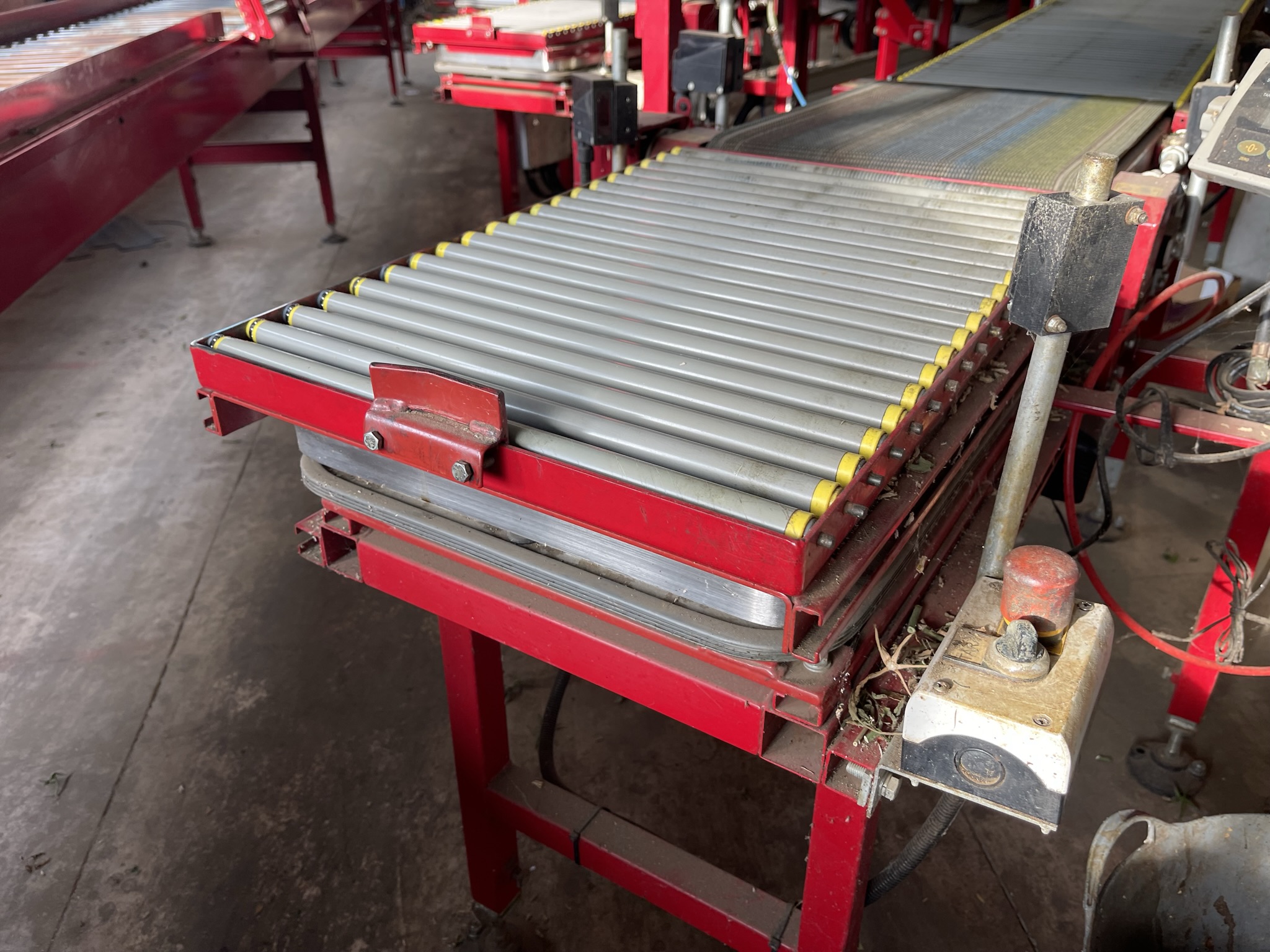 Complete Taks TTS vine tomato processing system + palletizing installation