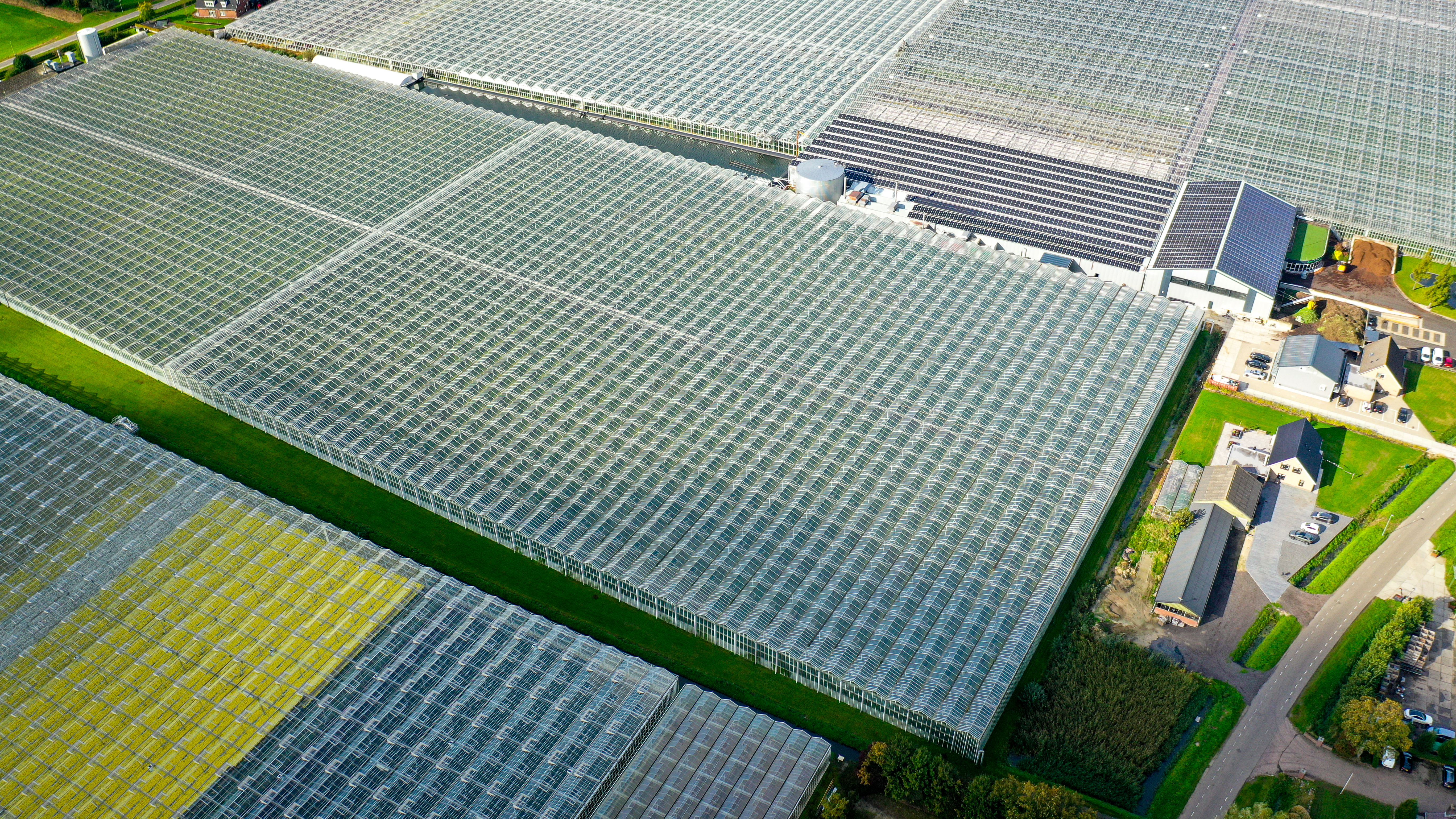 Venlo greenhouse 8,00 m 26.663 m²