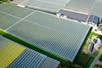 Venlo greenhouse 8,00 m 26.663 m²