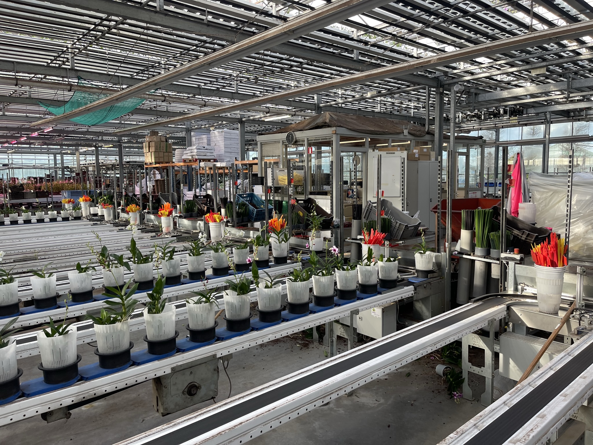 Various loose parts WPS delivery, sorting and buffer system