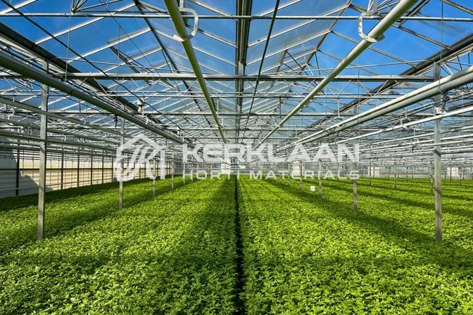 Venlo greenhouse 6,40m 11.251 m²