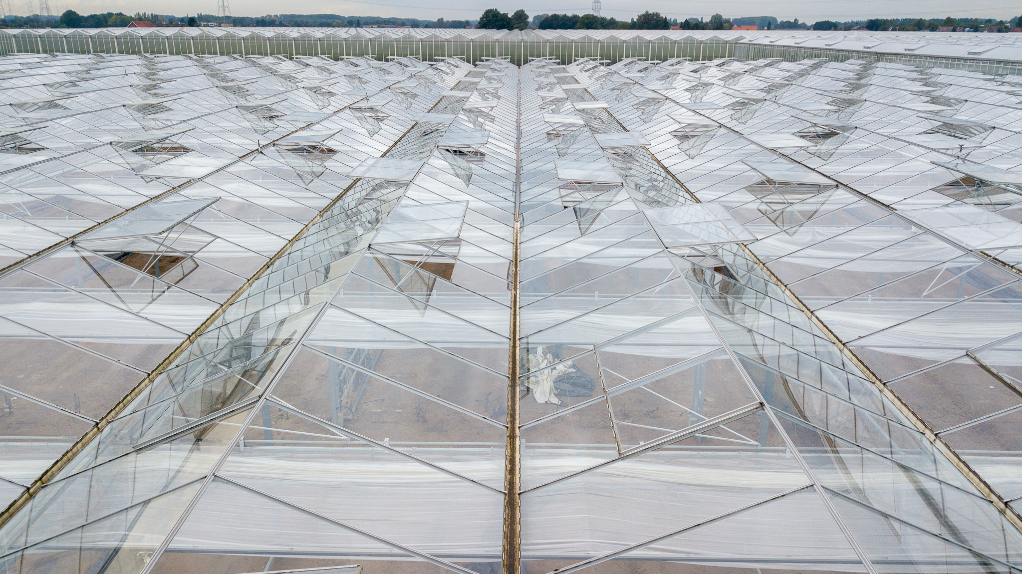 Venlo greenhouse 8,00 m 9.918 m²