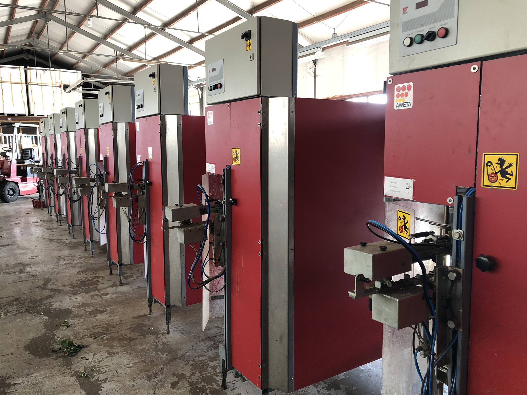 Aweta rose sorting machine