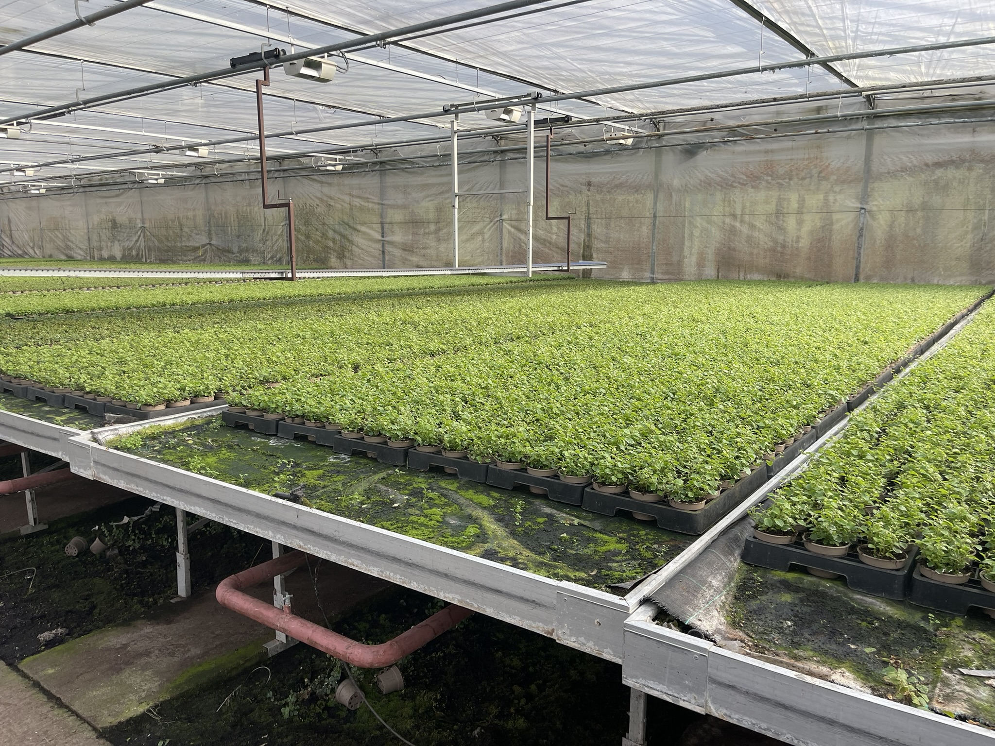 Aluminium rolling tables with ebb and flow bottoms