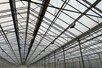 Complete turn-key widespan greenhouse 39.008 m²