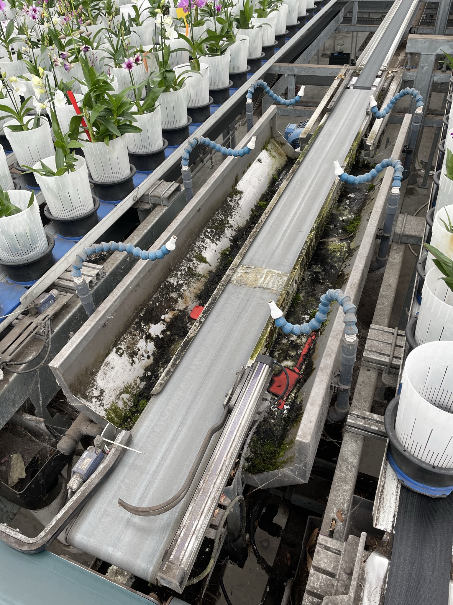 Various loose parts WPS delivery, sorting and buffer system