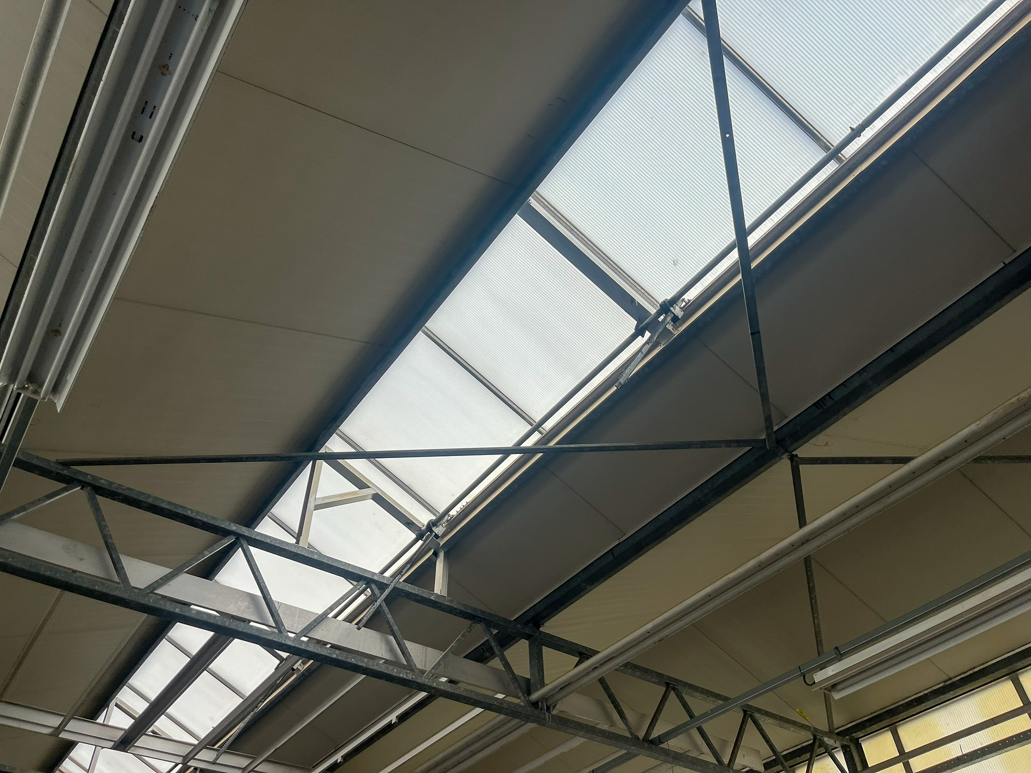 Business space 545 m²