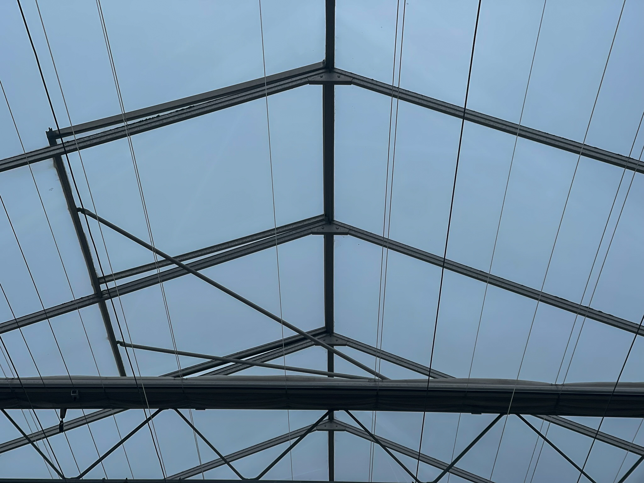 Venlo greenhouse 8,00 m 18.276 m²