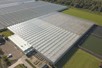 Venlo greenhouse 8,00 m 14.280 m²