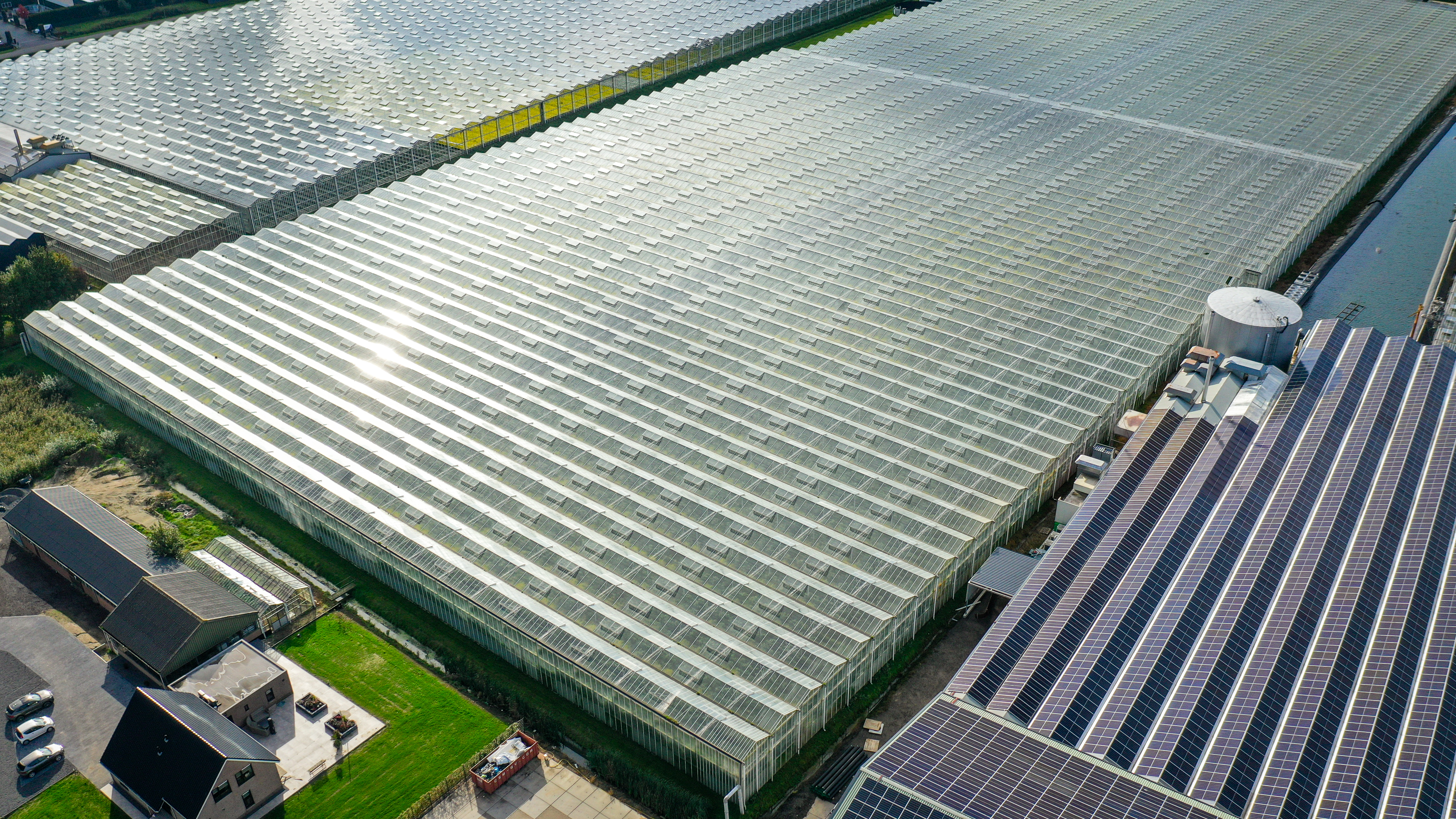 Venlo greenhouse 8,00 m 26.663 m²