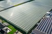 Venlo greenhouse 8,00 m 26.663 m²