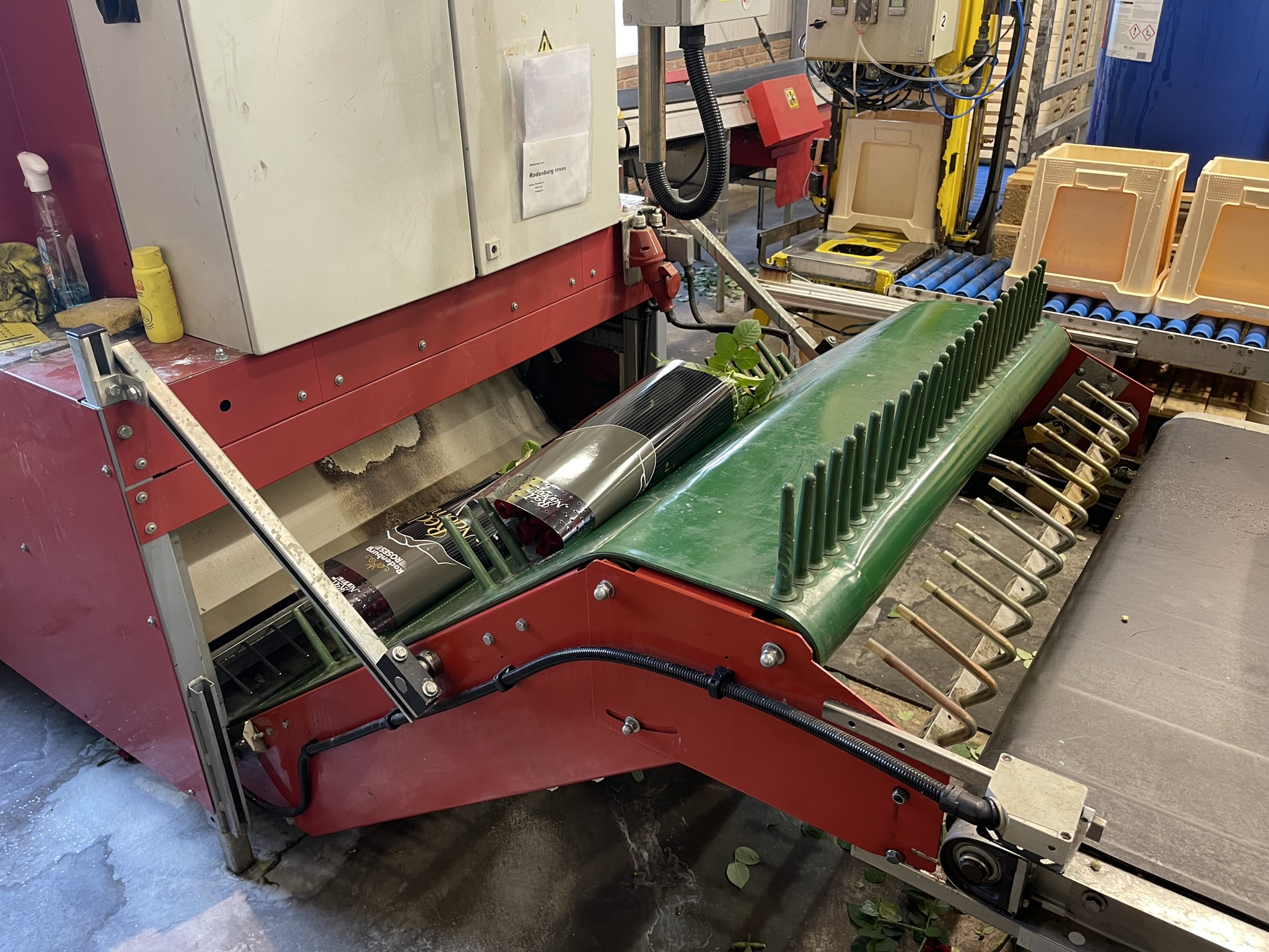 Aweta rozensorteermachine incl. IRISS sorteer systeem & sealer