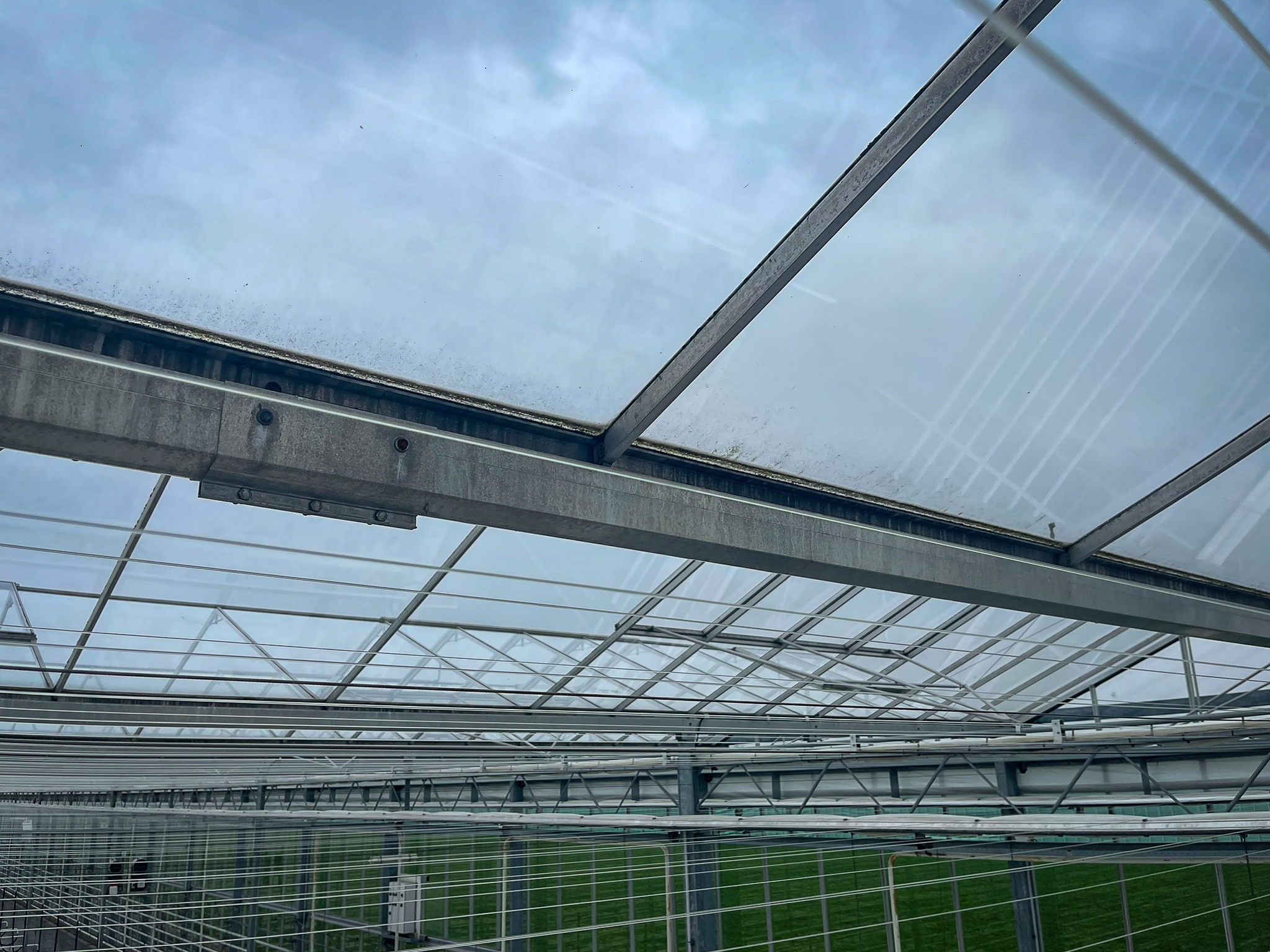 Venlo greenhouse 8,00 m 14.464 m²
