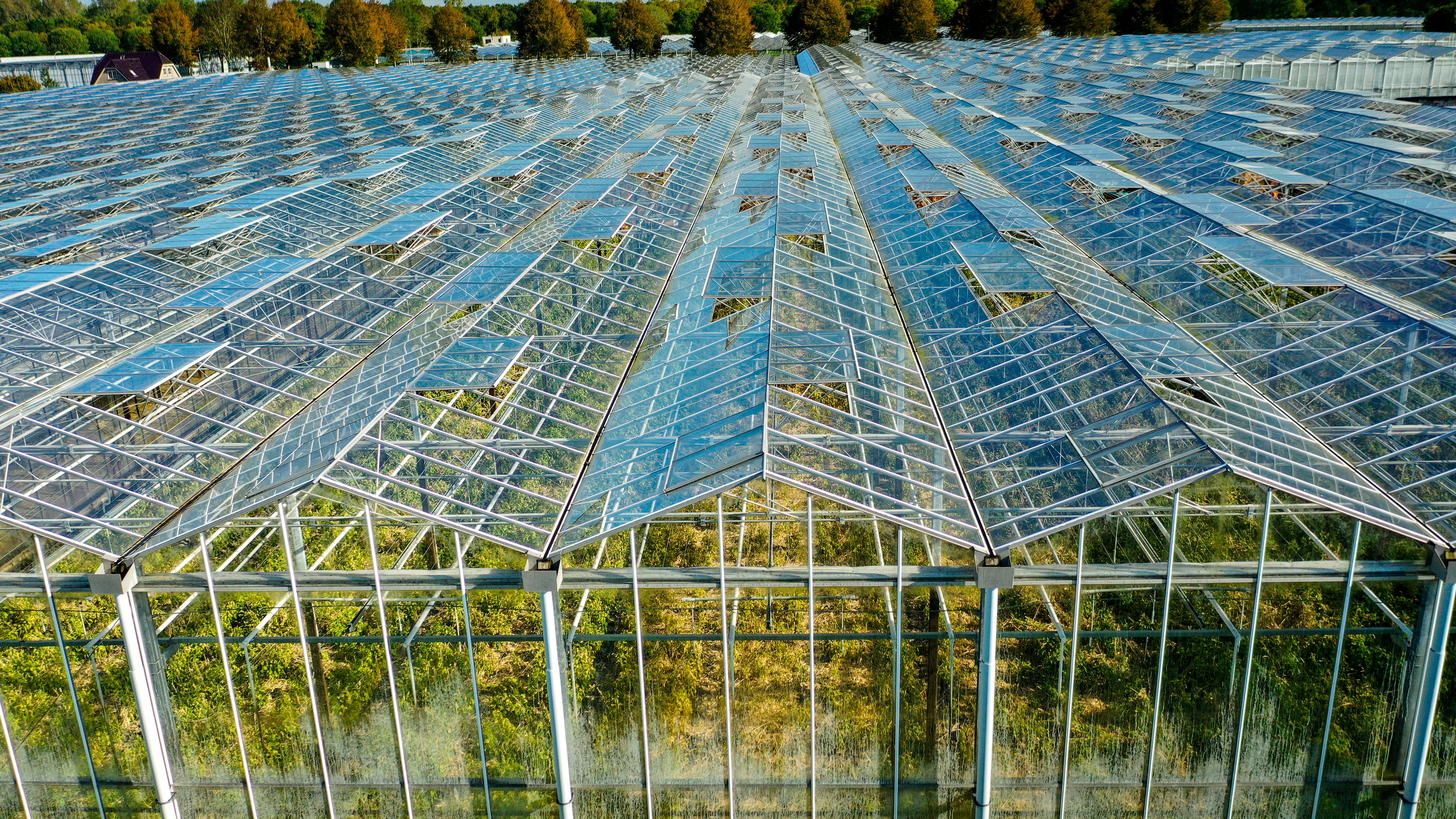 Venlo kas 8,00 m 3.680 m²