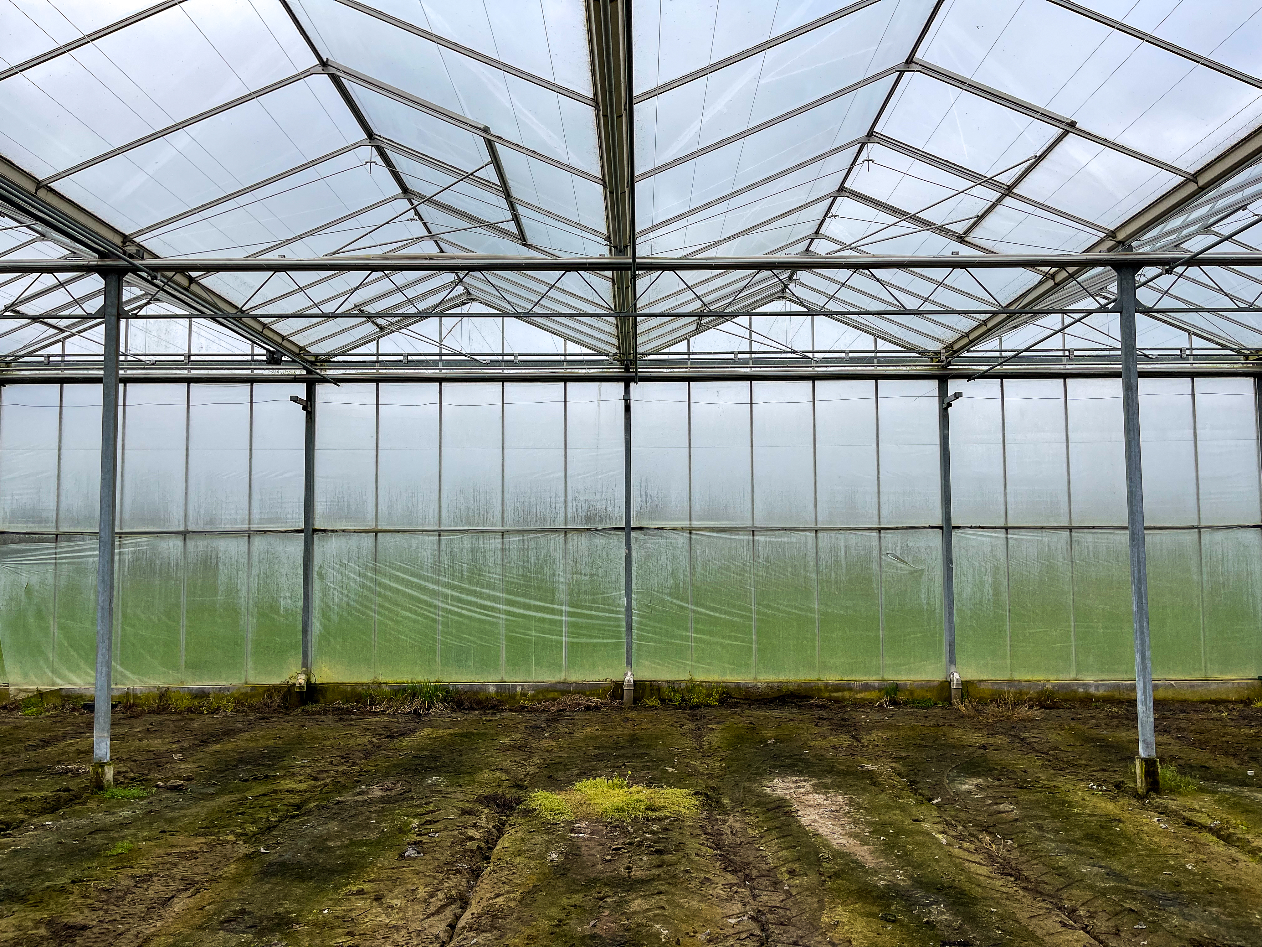 Venlo kas 8,00 m 15.300 m²