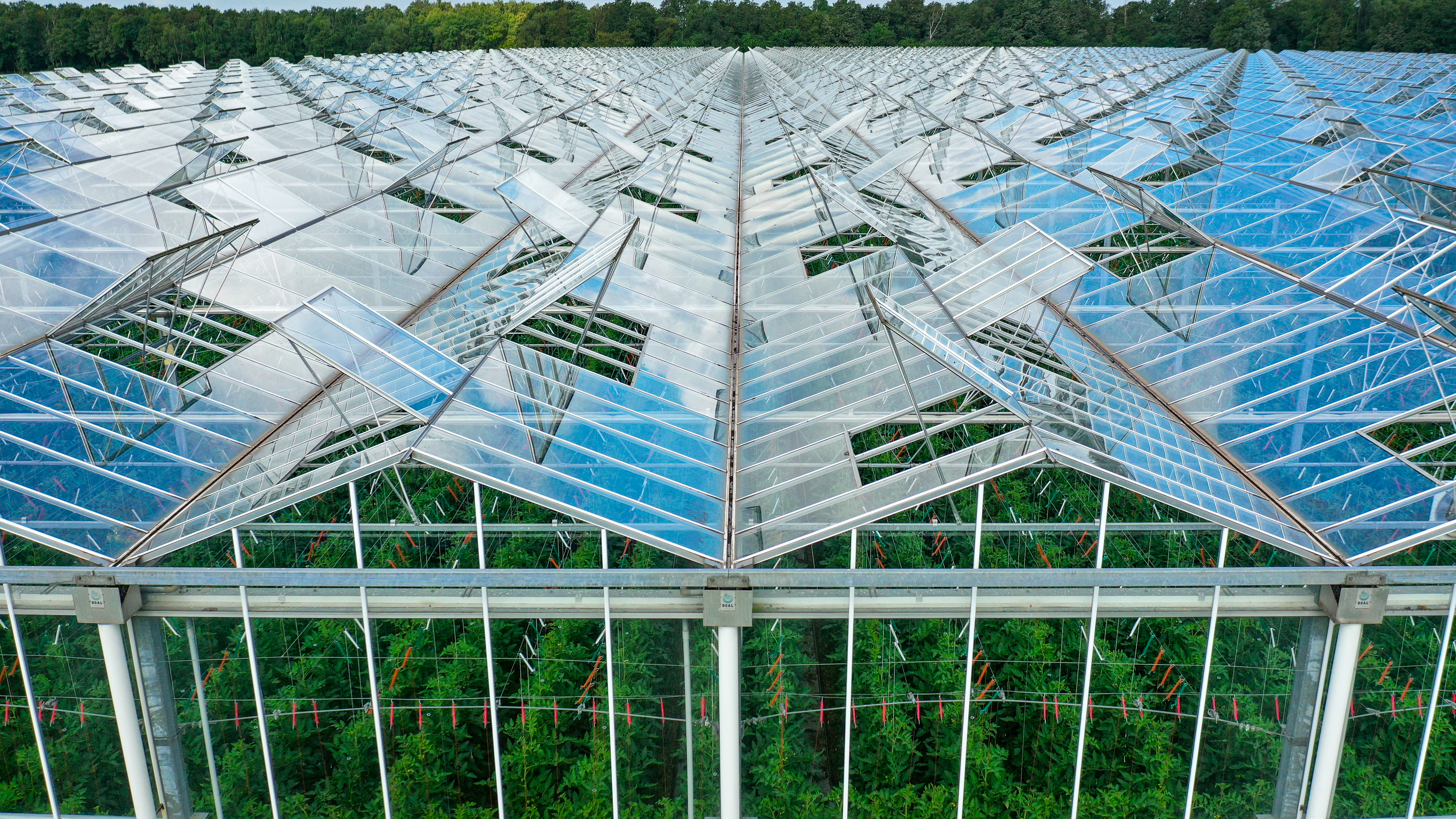 Venlo kas 8,00 m 40.752 m²