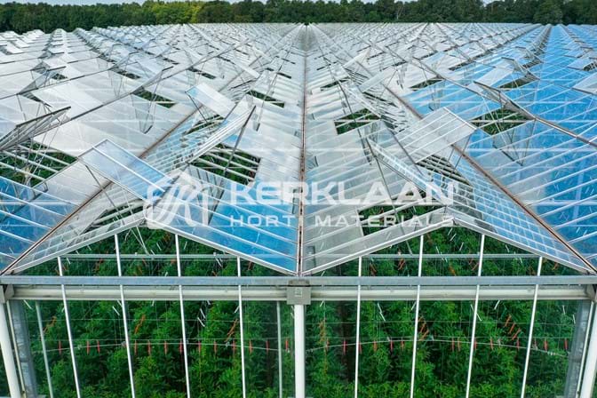 Venlo greenhouse 8,00 m 40.752 m²
