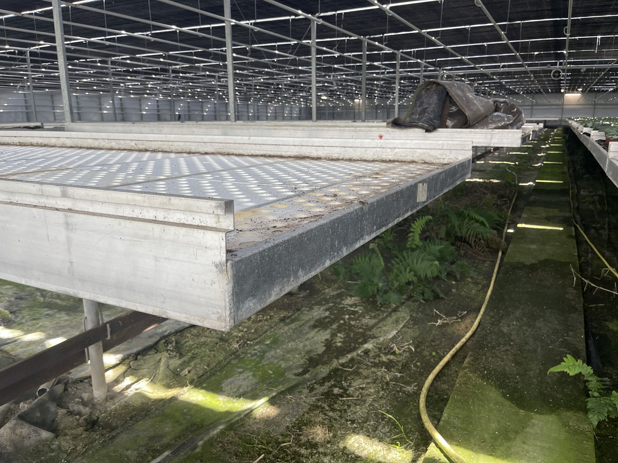 Aluminium rolcontainers incl. tempex bodem en bevloeiingsmat