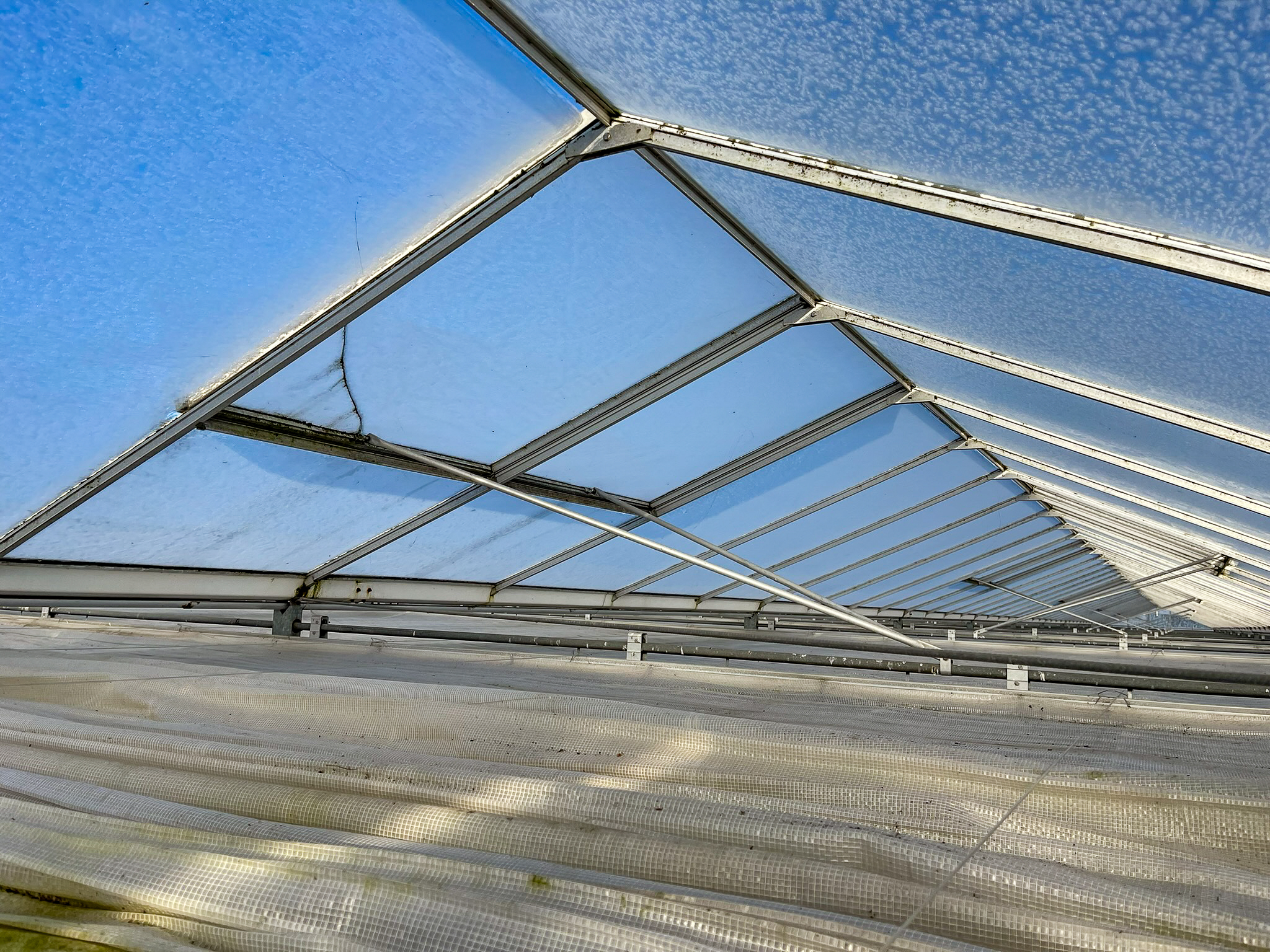 Venlo kas 8,00 m 22.248 m²