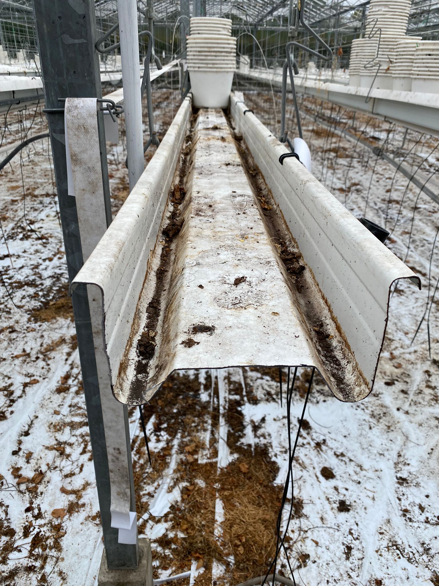 Compleet aardbeien teeltsysteem