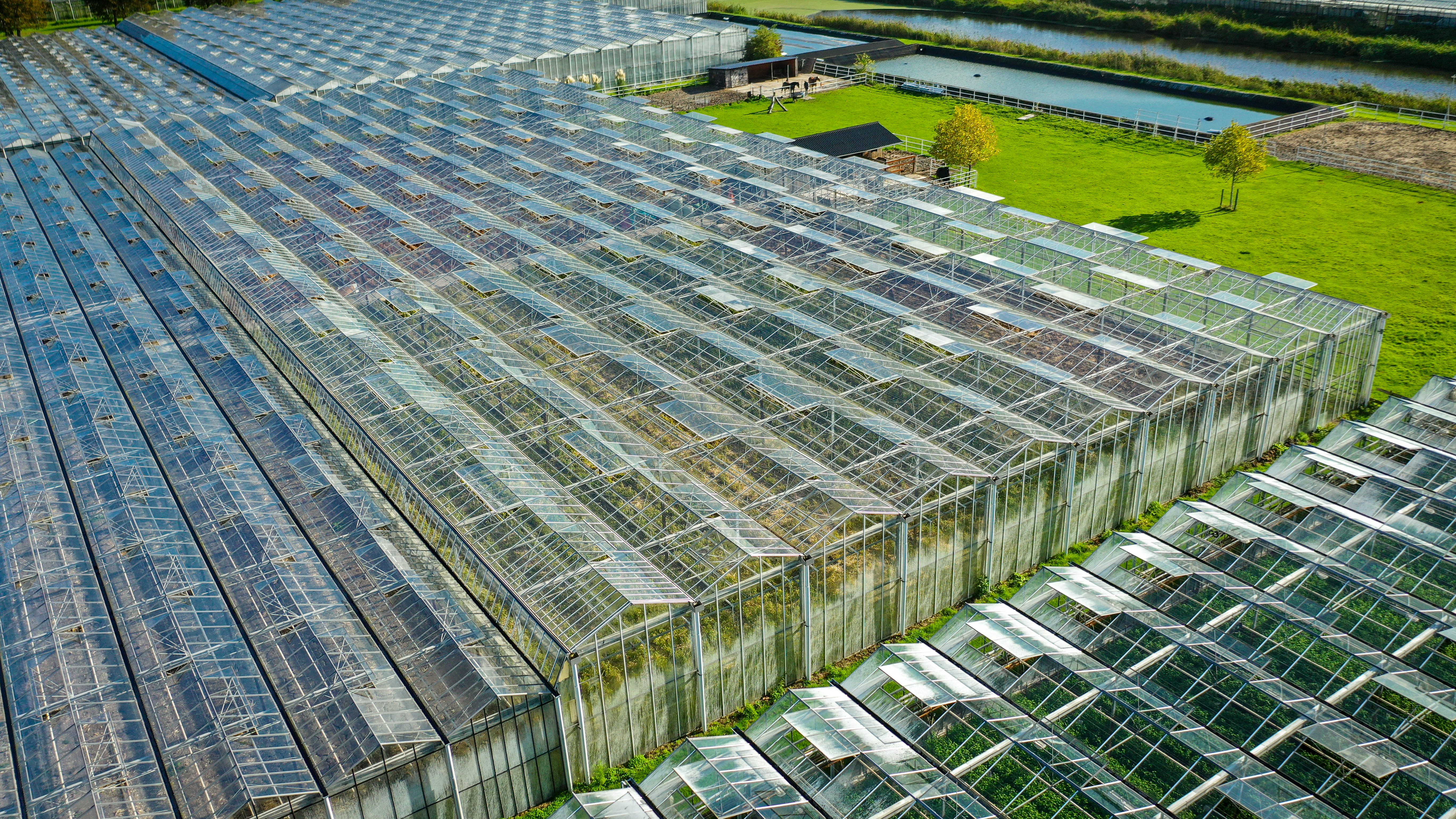 Venlo kas 8,00 m 3.680 m²