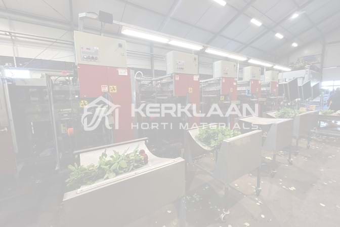 Aweta rozensorteermachine incl. IRISS sorteer systeem & sealer