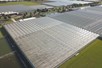 Venlo greenhouse 8,00 m 14.280 m²
