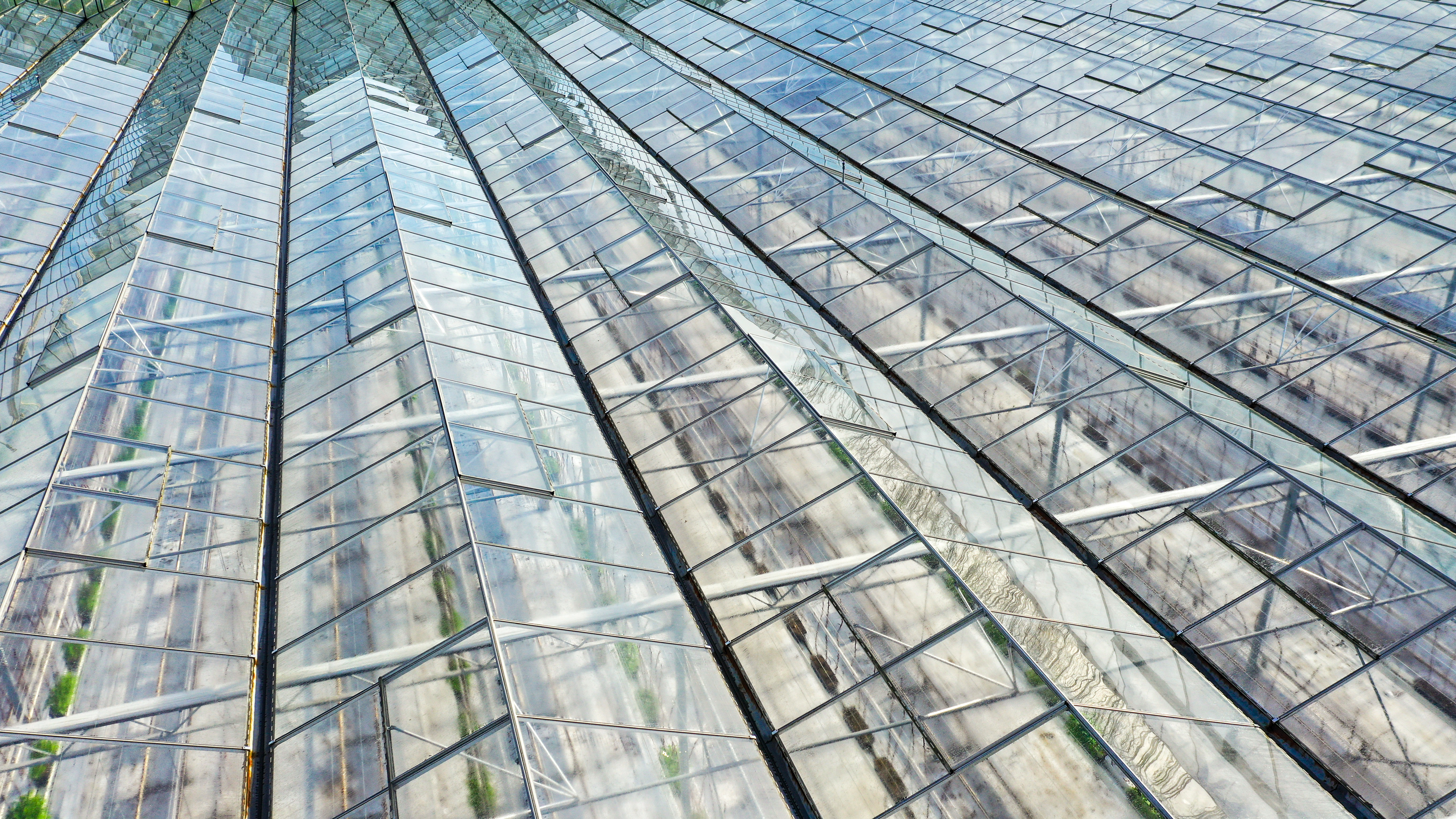 Venlo greenhouse 6.40 m 24.371 m²