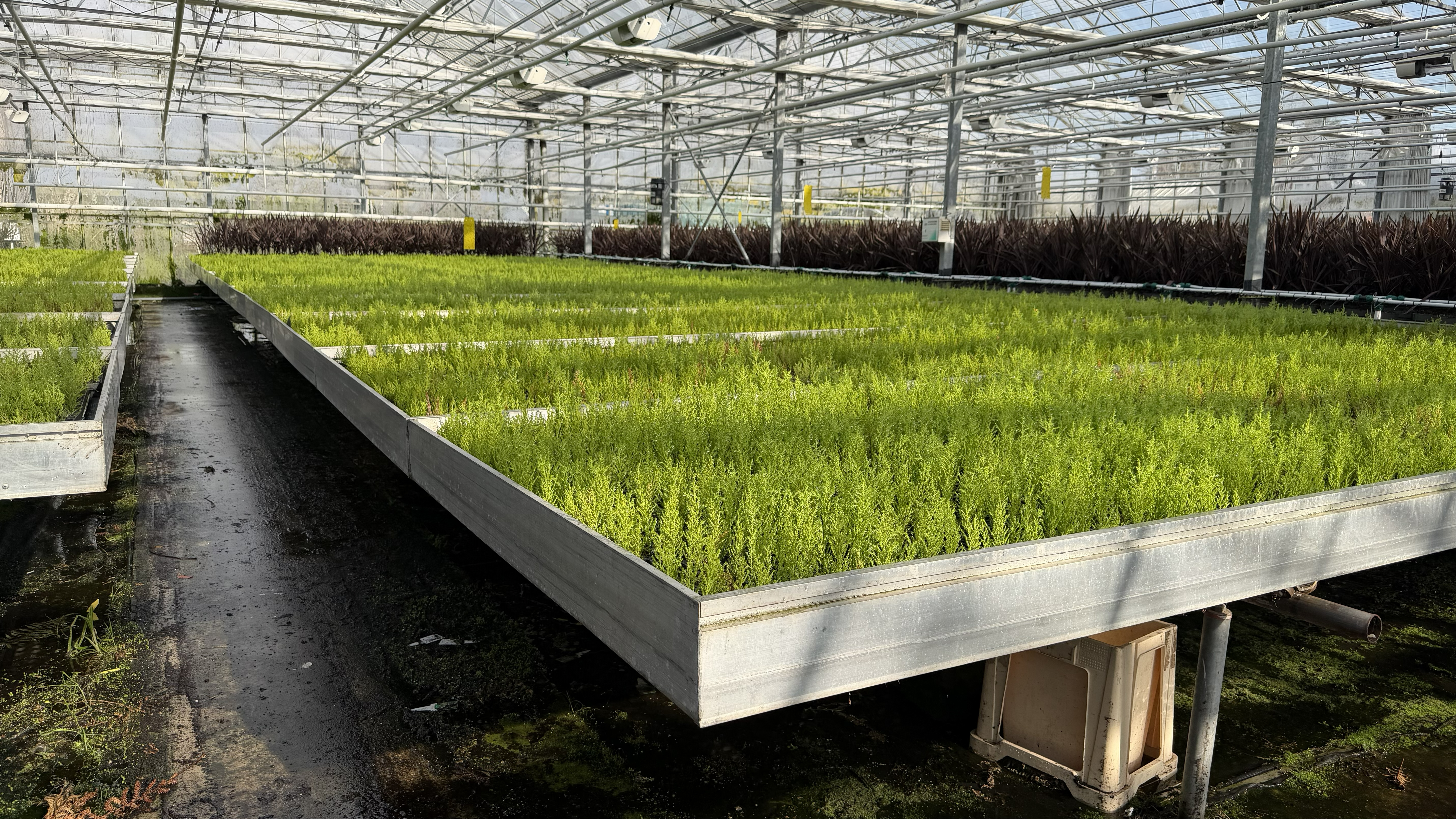 Aluminium rolcontainers met eb- en vloed bodem