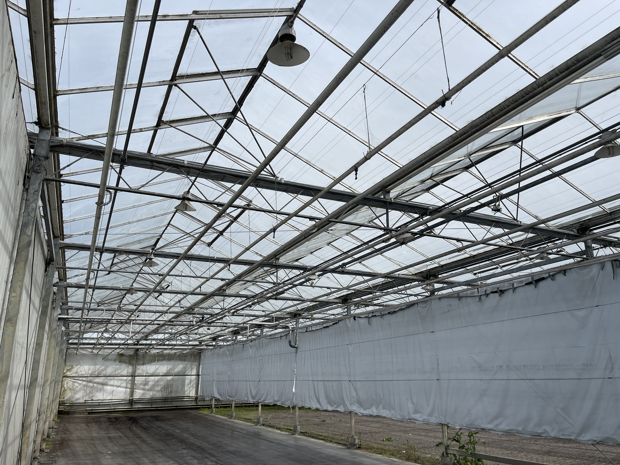 Cyclische belichting