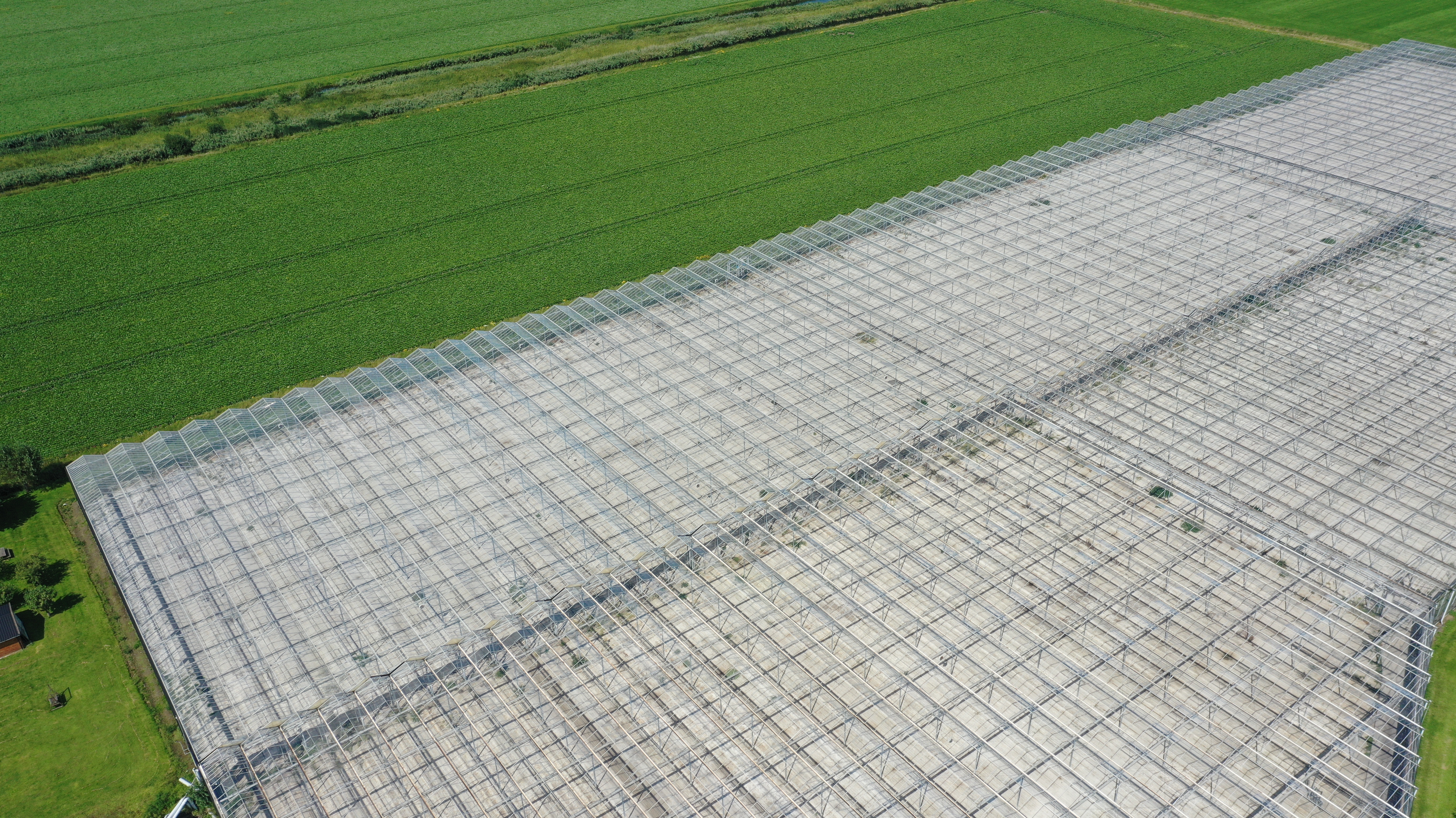 Venlo greenhouse 8,00 m 19.920 m²