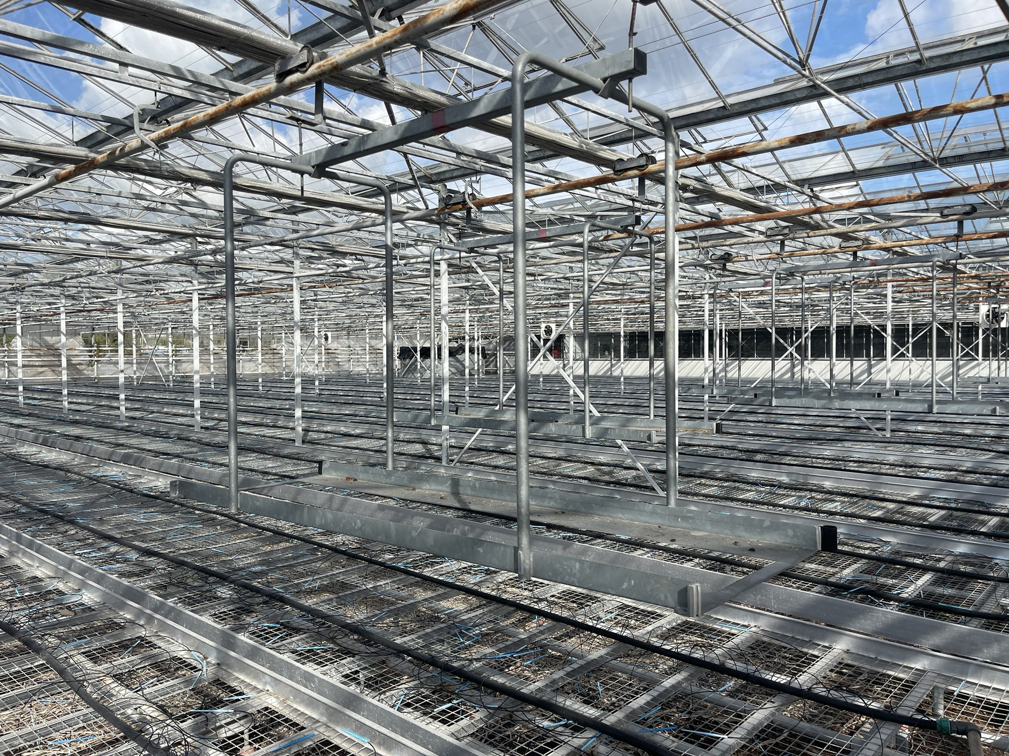 Over crop hanging trolleys 2000x600 mm