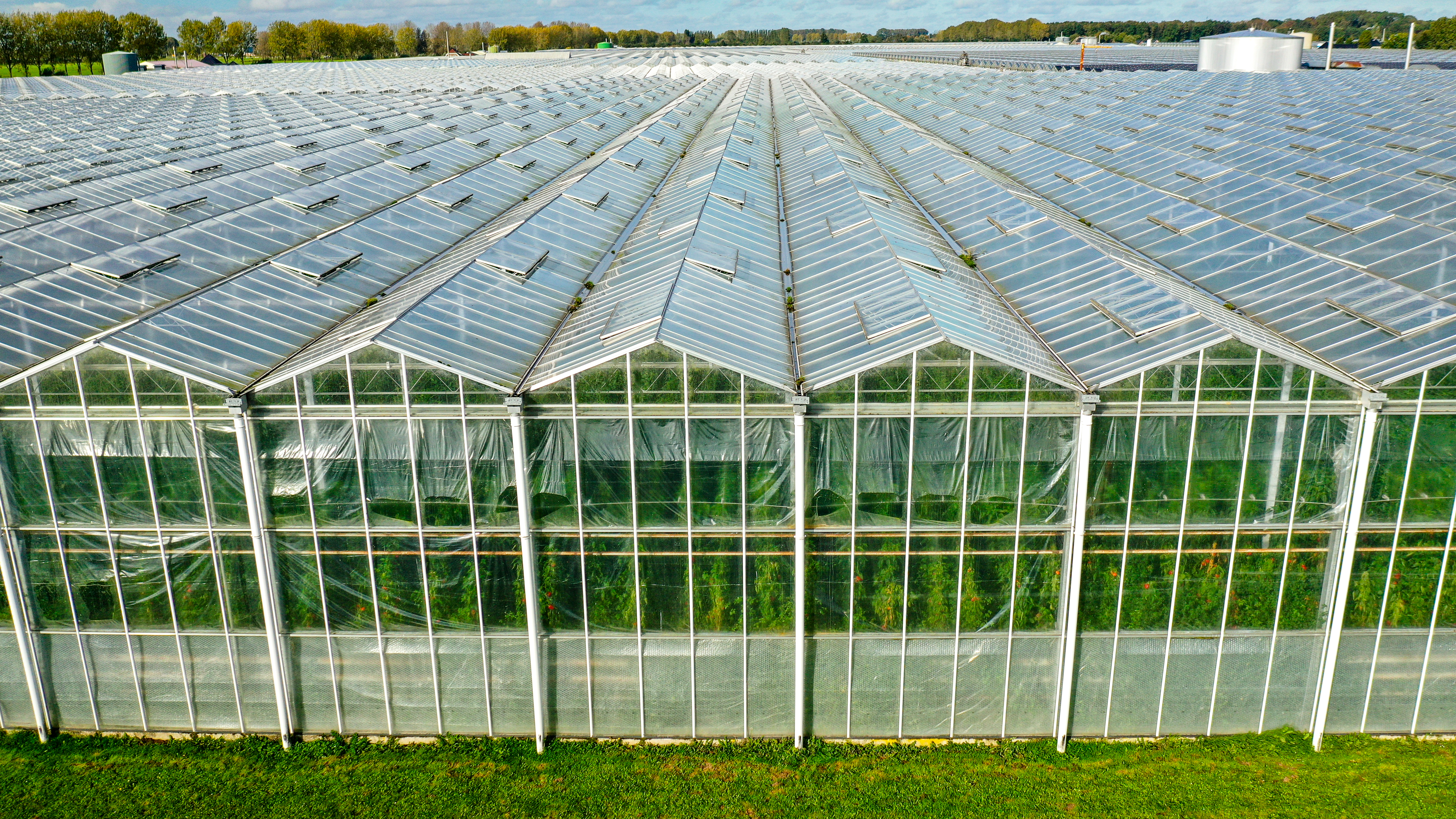 Venlo greenhouse 8,00 m 26.663 m²