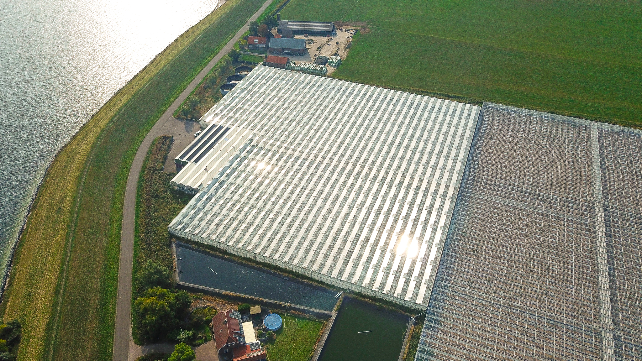 Venlo greenhouse 8,00 m 18.980 m²