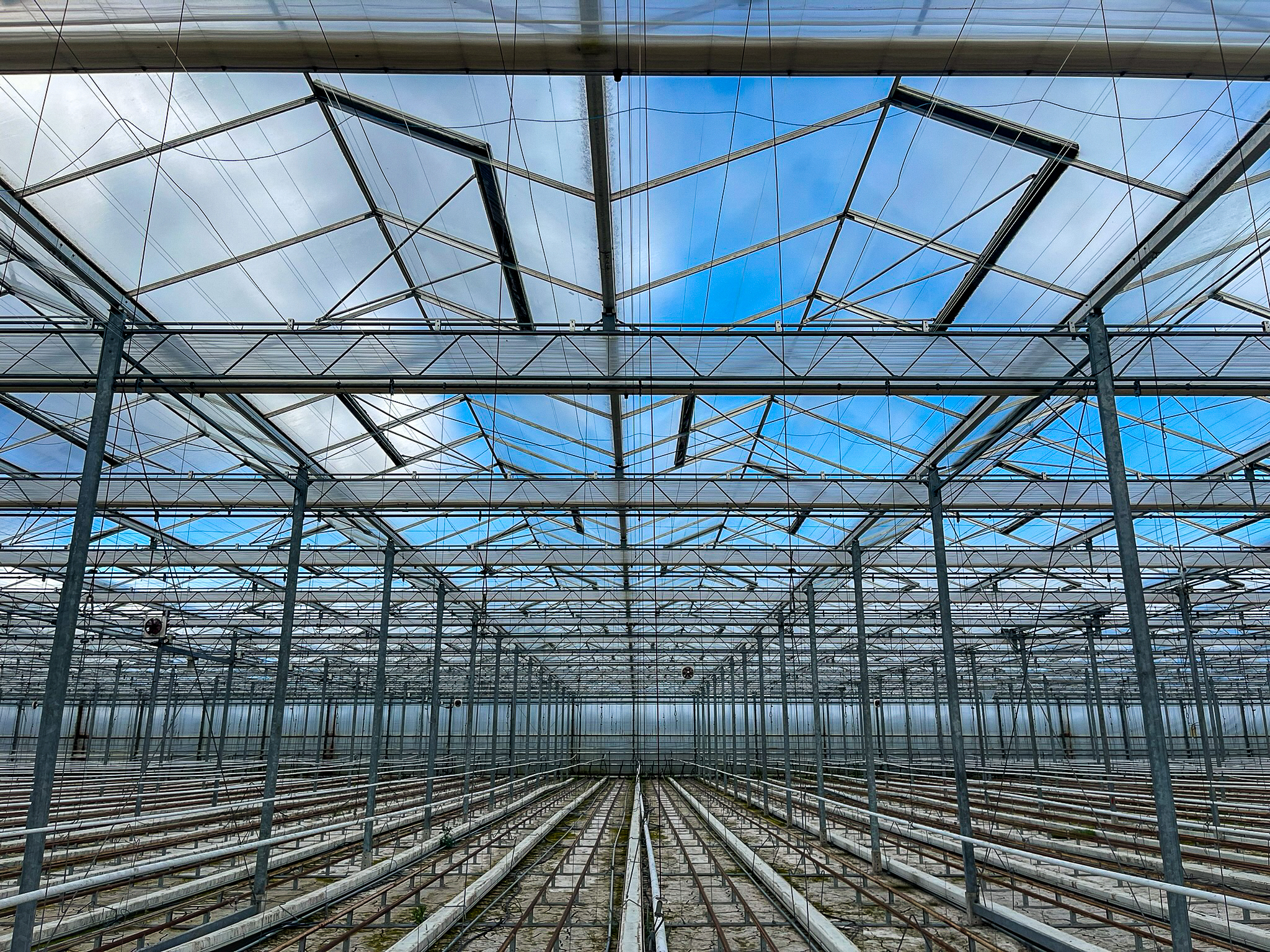 Venlo greenhouse 8,00m 17.100 m²