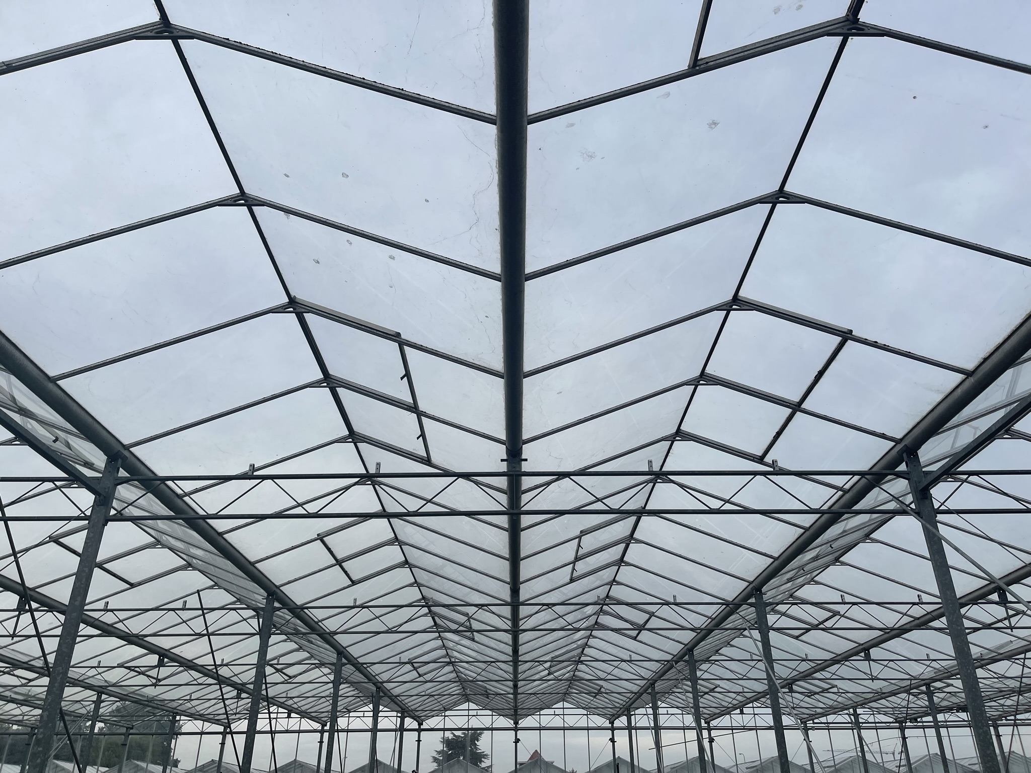 Venlo greenhouse 6,40 m 6.048 m²