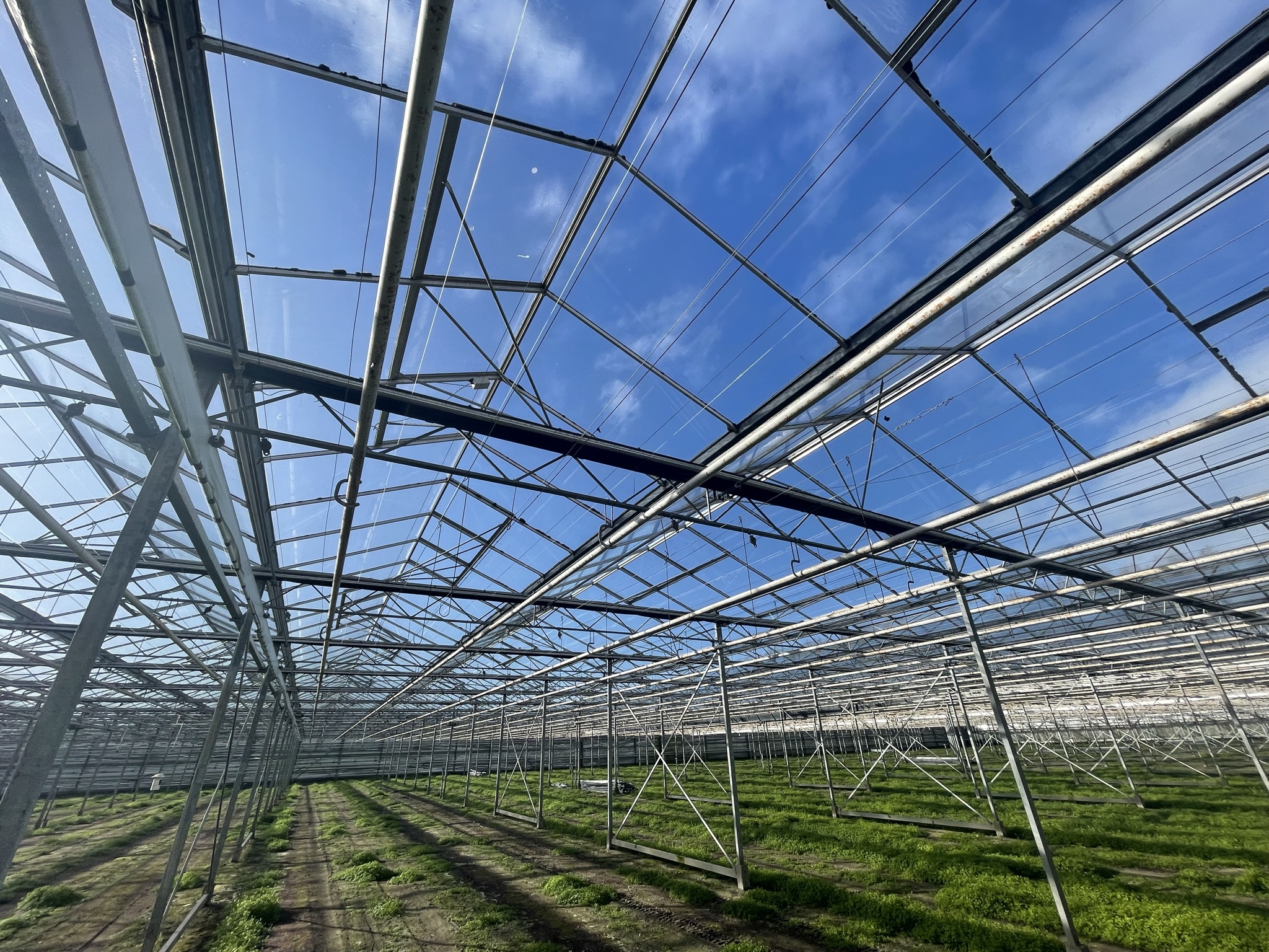 Venlo greenhouse 6,40 m 15.514 m²