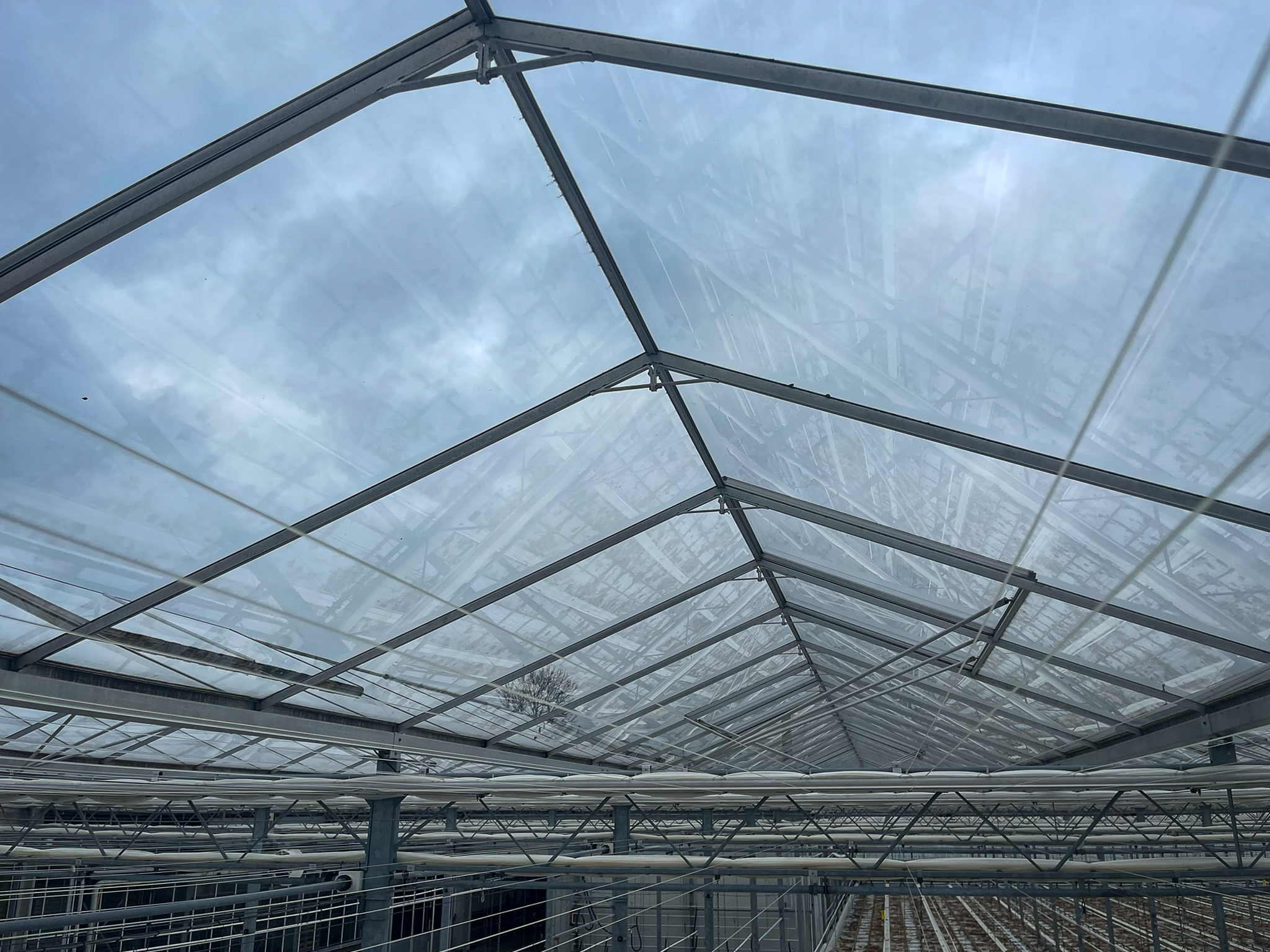 Venlo greenhouse 8,00 m 14.464 m²
