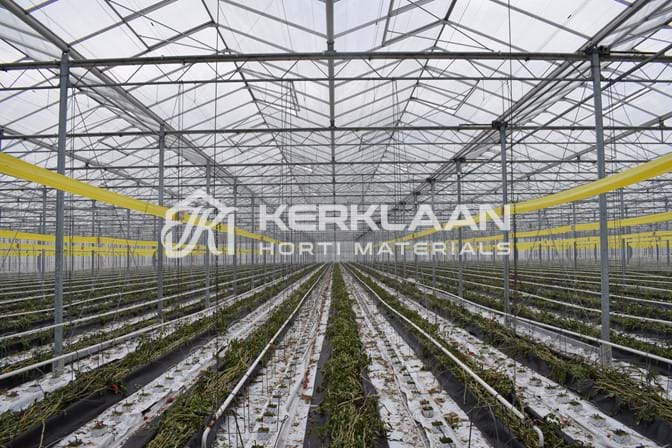 Venlo greenhouse 8,00 m 36.543 m²
