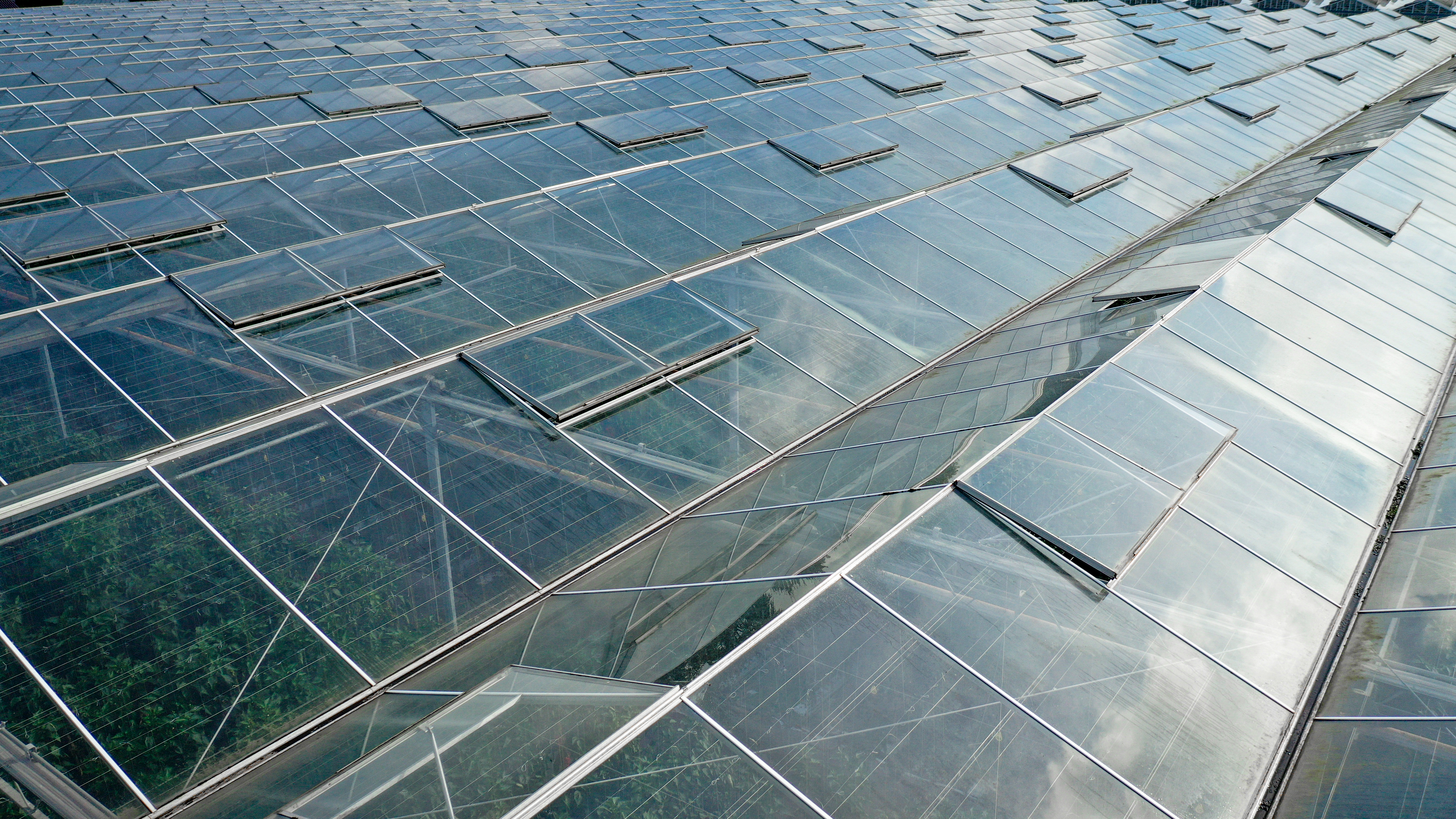 Venlo greenhouse 8,00 m 26.663 m²