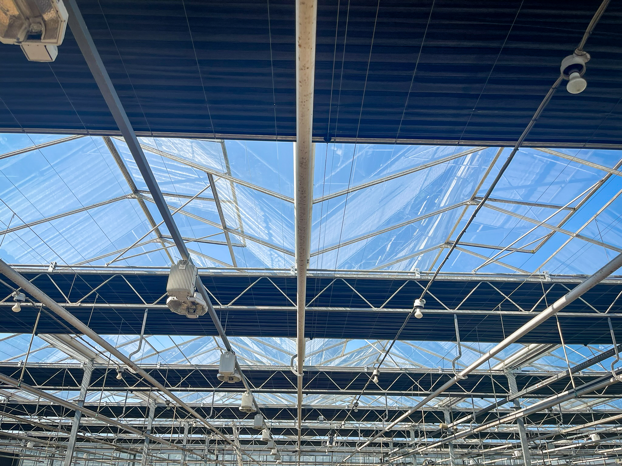 Venlo greenhouses 8,00 m 9.792 m²