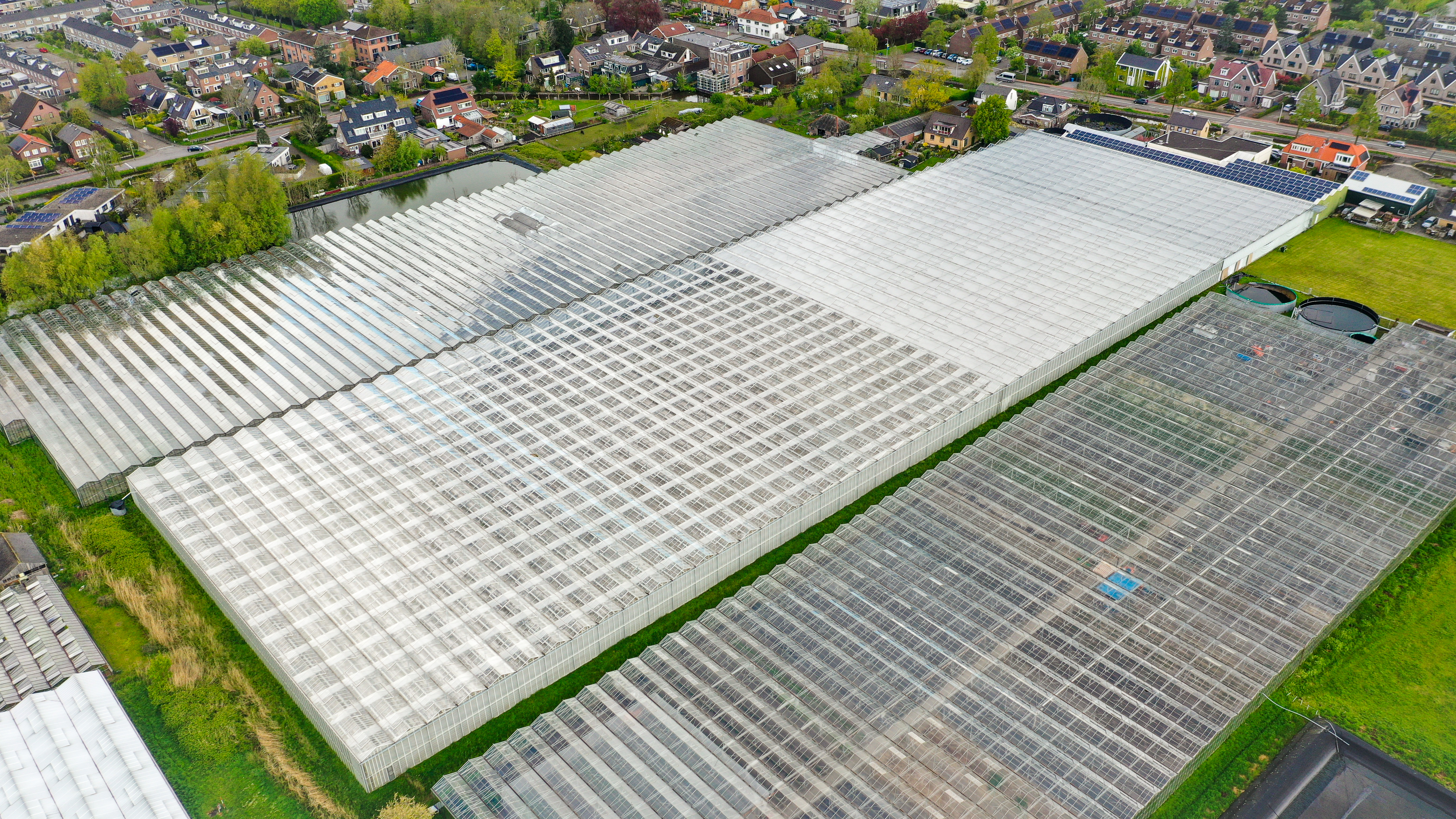 Venlo greenhouse 8,00m 17.100 m²