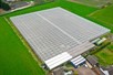 Venlo Greenhouse 8,00 m 15.300 m²