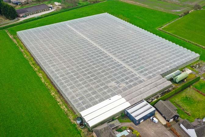 Venlo Greenhouse 8,00 m 15.300 m²