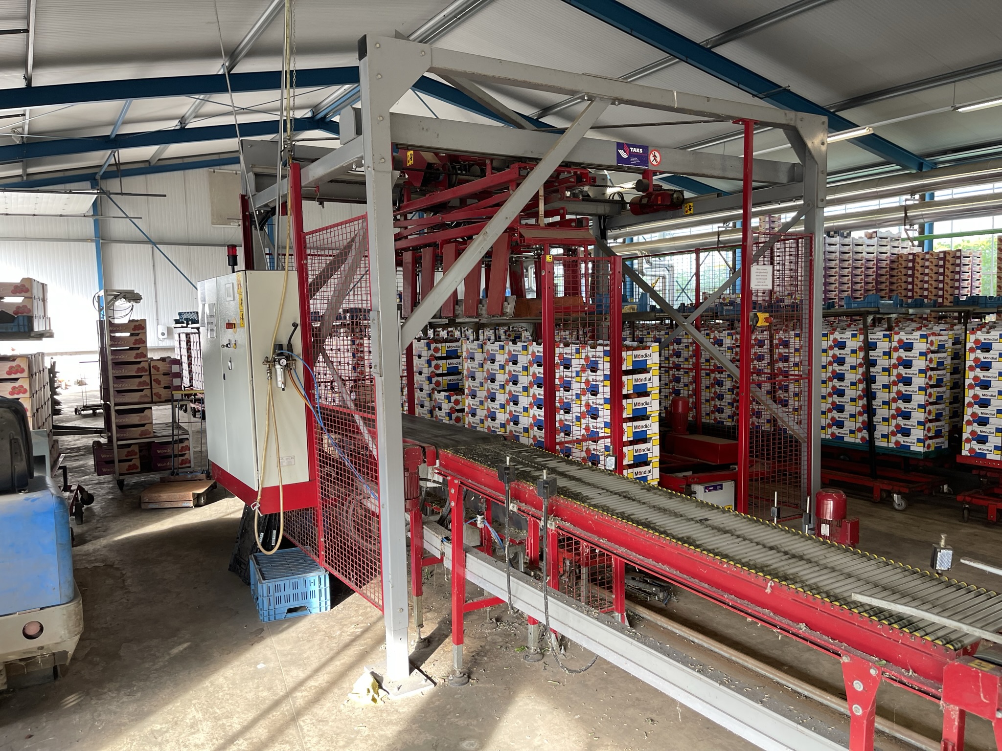 Complete Taks TTS vine tomato processing system + palletizing installation