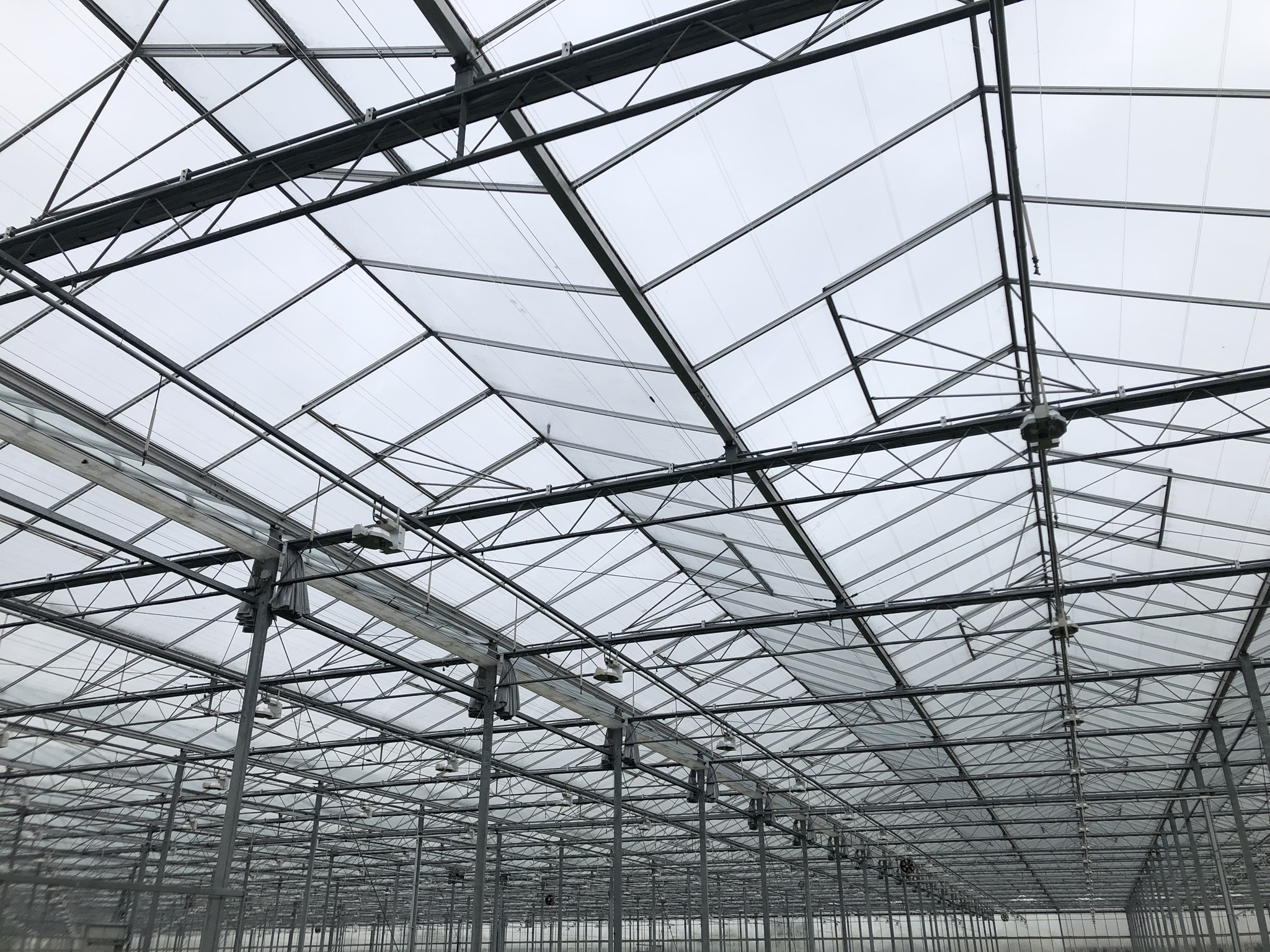 Venlo greenhouse 9,60 m 14.985 m²