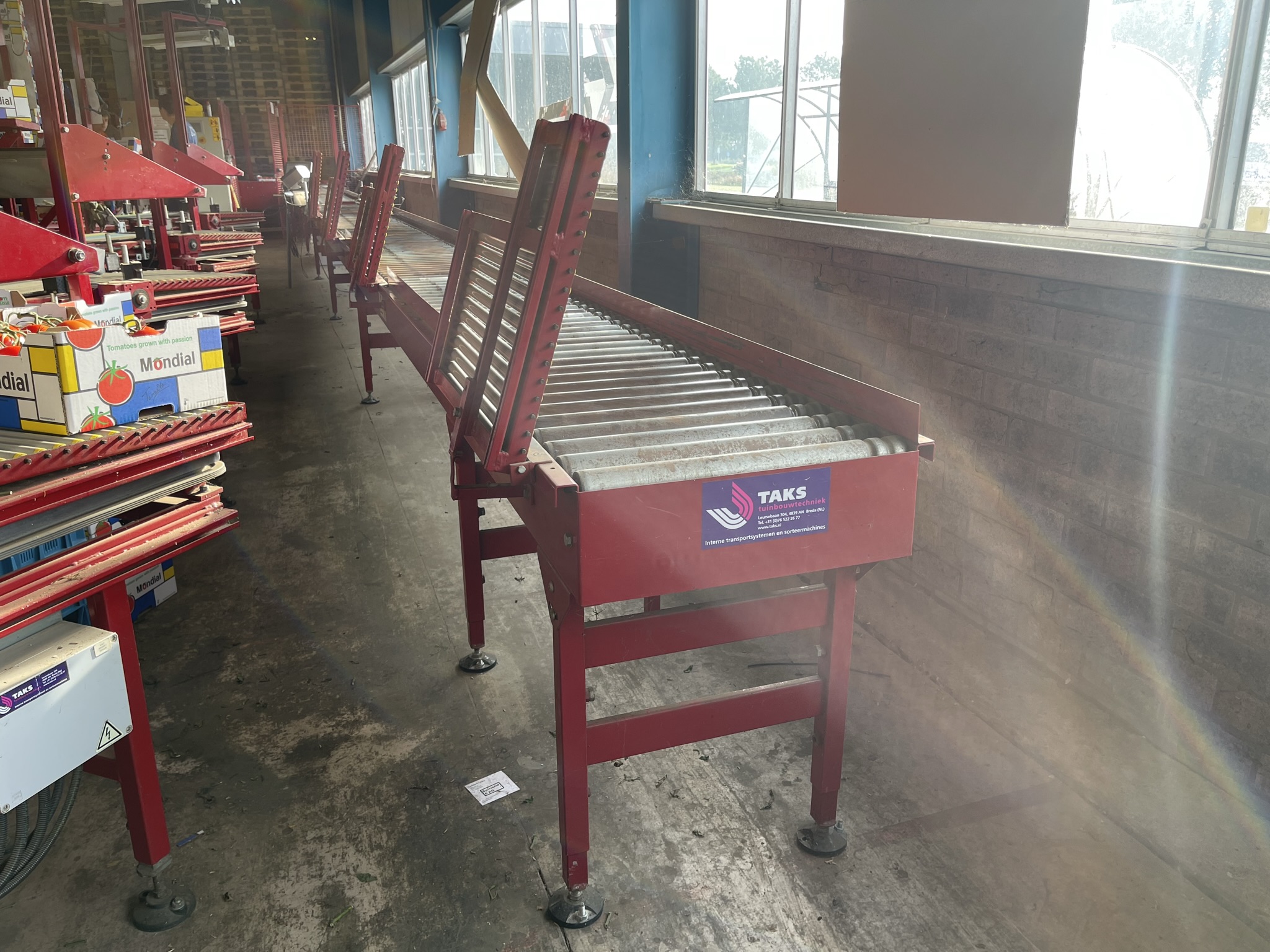 Complete Taks TTS vine tomato processing system + palletizing installation