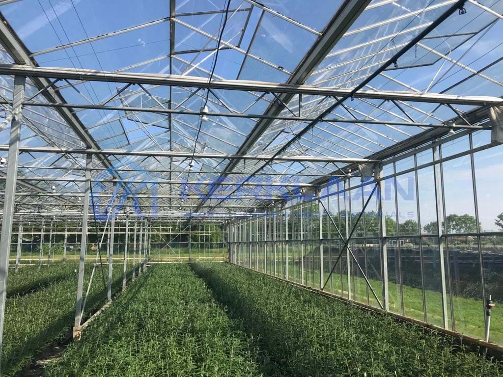 Venlo greenhouse 8,00 m 16.500 m²